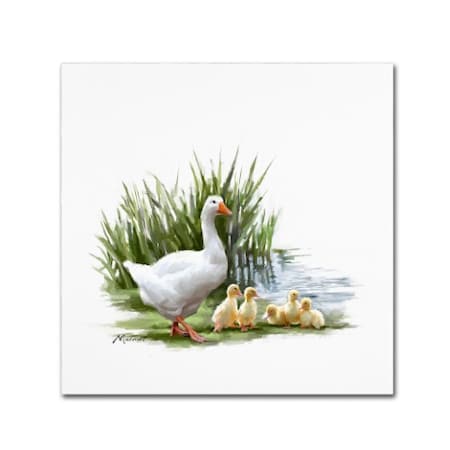 The Macneil Studio 'Goose With Young' Canvas Art,14x14